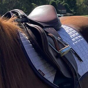 17" Collegiate English Saddle